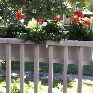 Meet your Posher, Valerie